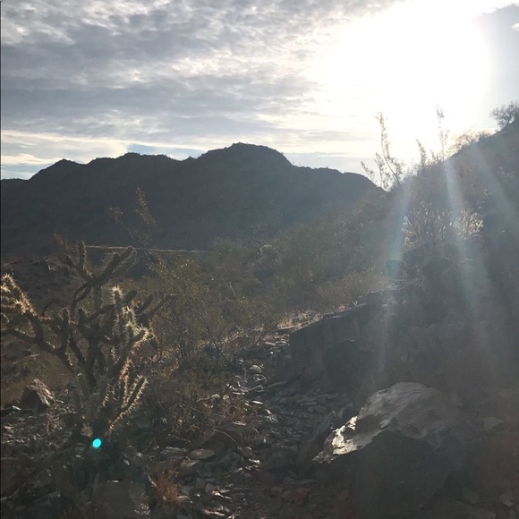 Meet your Posher, Nevaeh - Picture 1 of 1